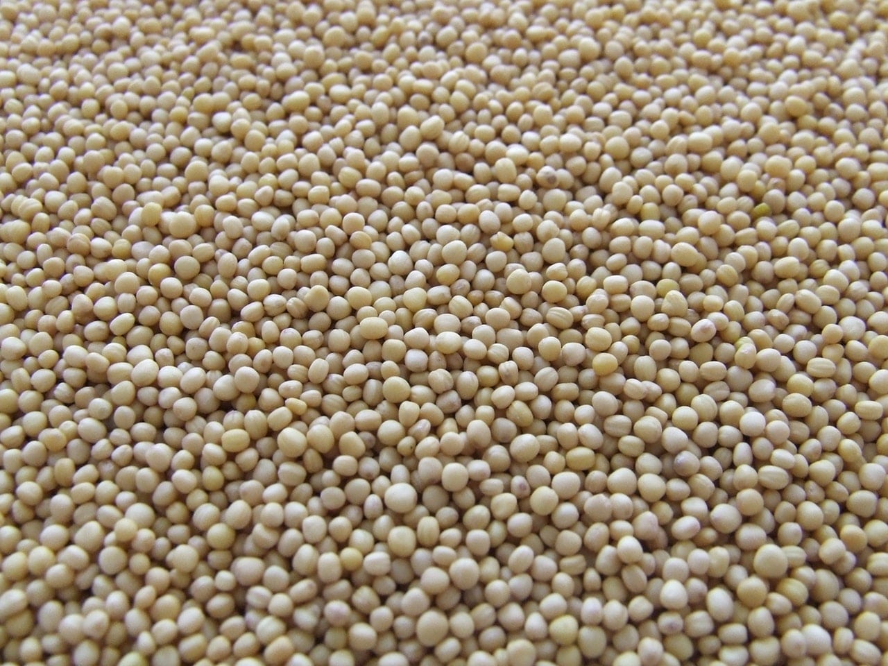 China imports Ruassian soybeans