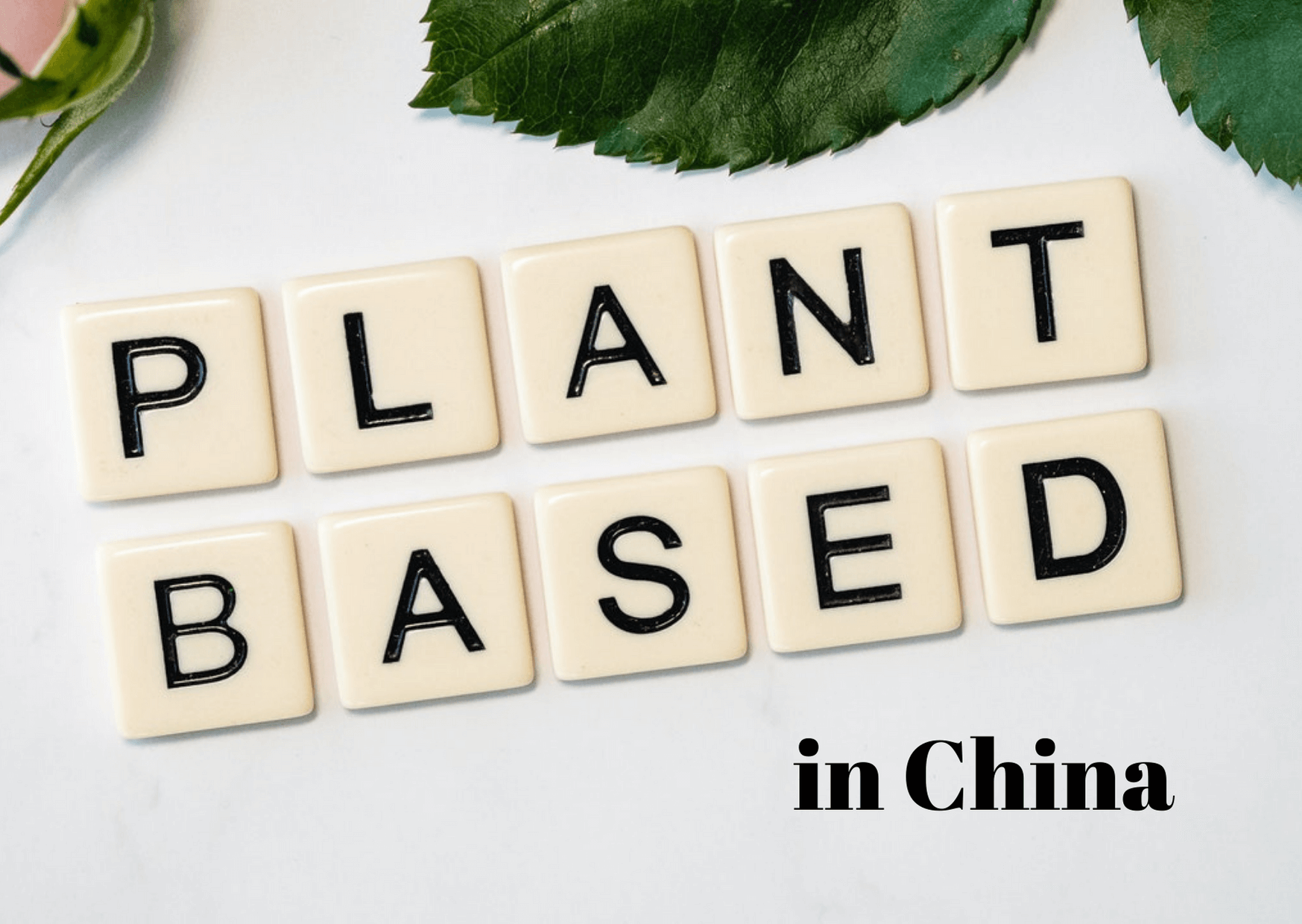 Group Standard for Plant-Based meat - food tech news in china