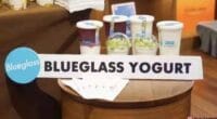 Blueglass yogurt raised funds - food tech news in Asia