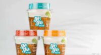 Yeyo The first plant-based coconut yogurt - food tech news in Asia