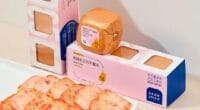 Stornergy new meat brand - food tech news in Asia