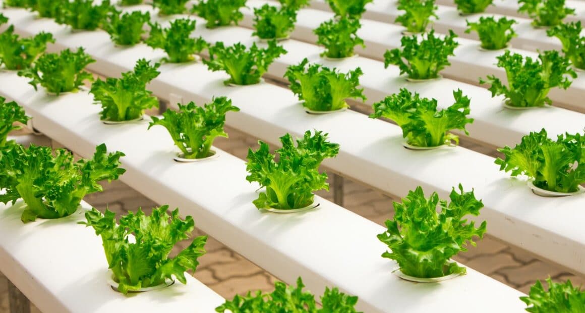 Miruku brings us molecular farming - food tech news in Asia