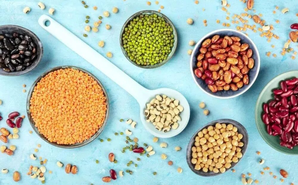 plant-based protein industry is promising