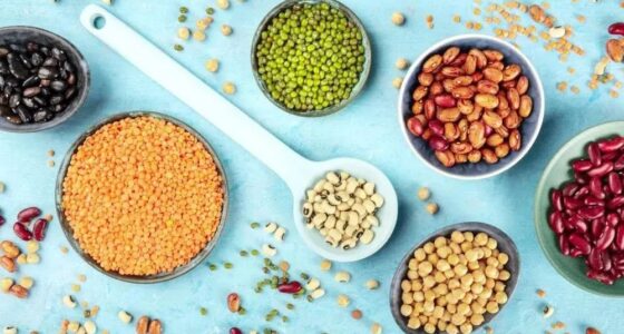 plant-based protein industry is promising