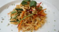 70/30 Food Tech's vegan shredded chicken /food tech news Asia