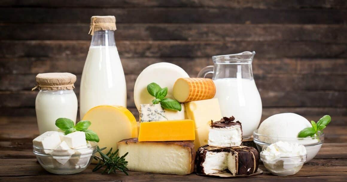 The fast-growing Chinese dairy industry/ food tech news Asia