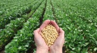 A brief insight to some investments in agri-food technology in the Asia-Pacific region/ food tech news Asia