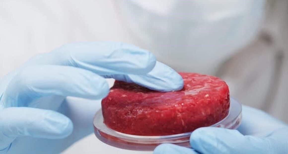 A new way to produce less expensive cell-cultured meat/ food tech news Asia