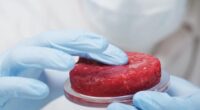 A new way to produce less expensive cell-cultured meat/ food tech news Asia