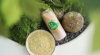 The first domestic Hemp plant-based milk/ food tech news Asia