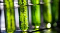 Microalgal protein can replace animal and plant-based protein/ food tech news Asia