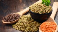 ProVeg Asia Pacific addresses sustainable protein investment growth/ foodtech news Asia