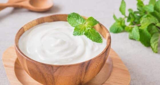 Yili talks about plant-based yogurts in the future/ food tech news Asia