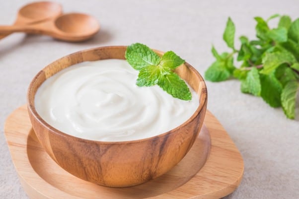 Yili talks about plant-based yogurts in the future/ food tech news Asia