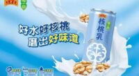 Wanglaoji launched plant-based walnut milk/ food tech news Asia