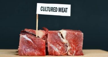 Experts say that China will become the largest cell-cultured meat market/food tech news Asia