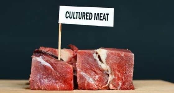 Experts say that China will become the largest cell-cultured meat market/food tech news Asia