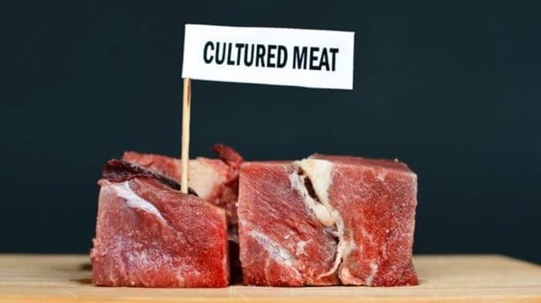 Experts say that China will become the largest cell-cultured meat market/food tech news Asia