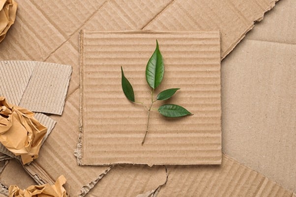 Sustainable packaging is a big trend in ready-to-eat foods/ food tech news Asia