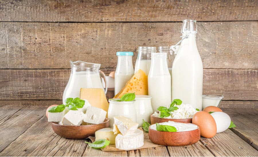 Dairy products gaining popularity/food tech news Asia