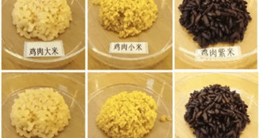 Rice with meat! China has successfully developed pork rice/ food tech news Asia