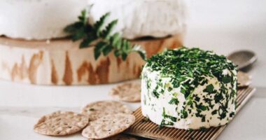 Bright Dairy has applied a patent for plant-based cheese/ food tech news Asia